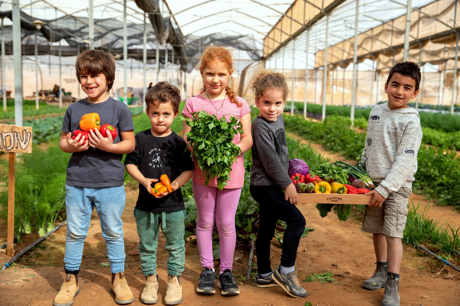 מהחממה לצלחת: בסימן הצדעה לחקלאות ישראלית מקומית