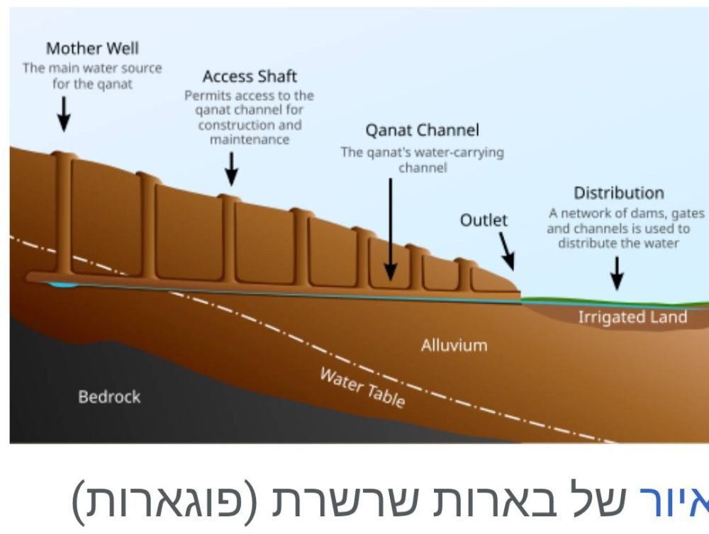 המים שהלכו בחושך - יום יום באילת