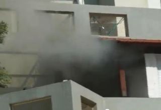 הכבאים חילצו את החתולים מהדירה הבוערת