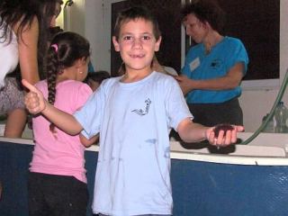 ליל המדענים: מאות אילתים סייעו לשבור את שיא גינס