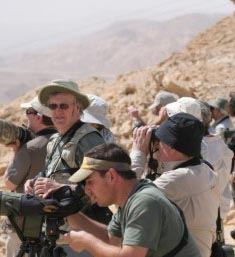 כשהשרקרק הירוק יפגוש את סלעית השיחים