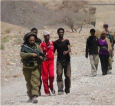 המסתננים נתקעו בסיני: צה"ל חילץ אותם לישראל