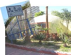 תסיסה בקרב הורים בחינוך המיוחד