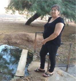 מראה מביש בכניסה לבית העלמין הצבאי
