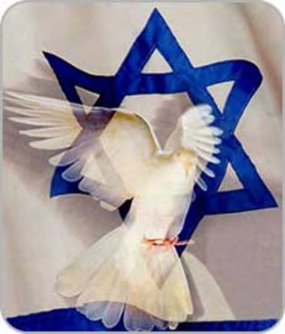 שפוי זמני