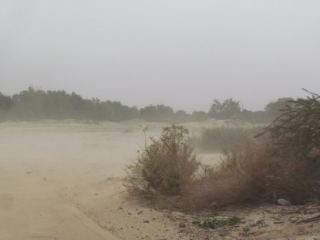 וידיאו: סופת חול בערבה