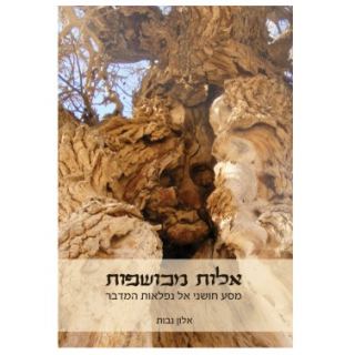 המלצת ספר - אלות מכושפות