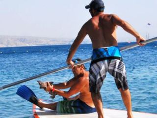 כריש בחוף הצפוני