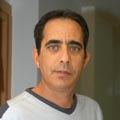 שפוי זמני