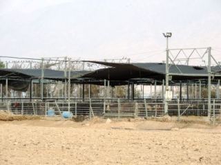 בגלל שדה התעופה החדש: תחנת ההסגר לבקר נשארת באילת