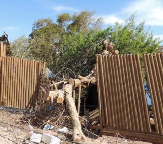 דני שועה יפוצה במיליון שקלים ודורש יותר; העירייה: "סחיטת הקופה הציבורית"