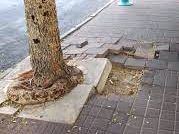 בגלל מדרכה שבורה: פיצוי לתושבת העיר