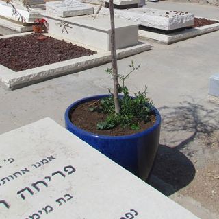 איפה ישנם עוד אנשים