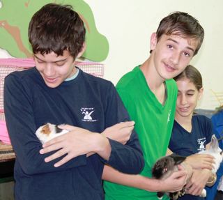 שוק הכל בשקל
