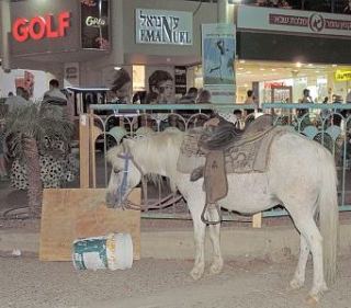 אין חדש בטיילת: רוכלות בלתי חוקית וסוס פוני
