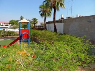 "גן המשחקים ננטש בגלל הדבורים"