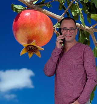 רוני מויאל: התחלה בריאה