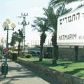 מי יציל את שדרות התמרים...?