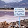 אולמרט ודנקנר לנצח