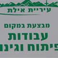 שפוי זמני