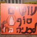 הירוקים פשטו עם שחר - מחאה אקטיבית, פשיטה על חוף ה'רויאל ביץ'