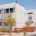 עם קצת רצון והרבה פרוטקציה