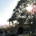 אילת סגדה לשמש