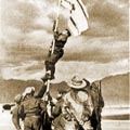 אילת חוגגת 61