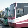 משרד התחבורה שוקל הפעלת תחבורה ציבורית לים בשבתות