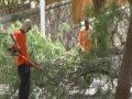 קבלני העירייה מתקשים להפסיק את העסקת המסתננים