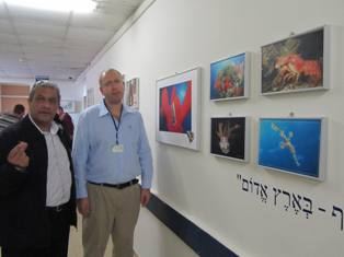 'יוספטל' אימץ את תערוכת הצילומים 'סביבה בהסוואה'
