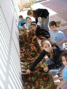 חוקרים צעירים בבית ספר 'יעלים'