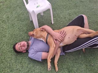 תיק אלדר דיין משנה כיוון: חשדות הרצח וההפקרה ירדו מהפרק