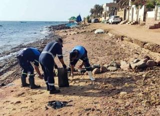 אסון אקולוגי בסיני: חופי דהב כוסו בנפט גולמי רב