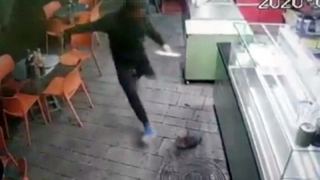 המשטרה דורשת מעצר עד תום ההליכים כנגד עודד בנימין פיינגולד שחשוד בתקיפת החתולה במרכז תיירות באילת
