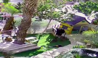 צפו: שני כלבי בולטרייר תוקפים תושב אילת