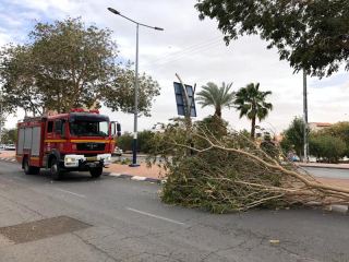  3 רכבים ואופנוע נפגעו כתוצאה מנפילת עמודים ועצים באילת נזקים כבדים לחוף