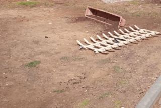 טרגדיה במצפה רמון, בת 23 נשענה על סורגים בחלון ביתה בקומה השלישית, נפלה ונהרגה