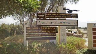 חגיגות ט"ו בשבט באילת