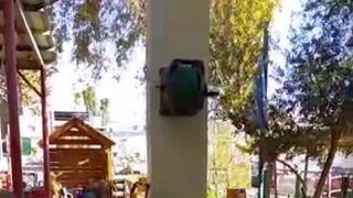 "ילד שבר את ידה של הסייעת ועקר את ציפורניה"