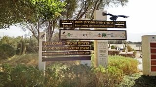 אילת שלא הכרתם