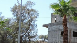 מדבירי עורבים הותקפו באבנים