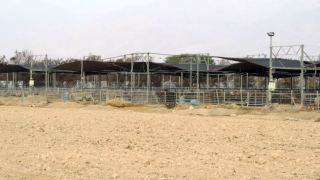 סופית: פארק מים באילת רק אם תסולק הקרנטינה של קיבוץ אילות