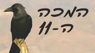המכה ה-11