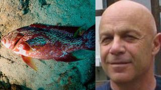 פרופ' דיאמנט: ממליץ לחולים לא להיכנס לים משרד הבריאות: לא קיימת הצדקה לסגור חופי רחצה