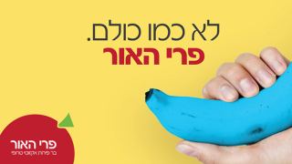 פרי האור באילת - קרנבל פירות אקזוטיים