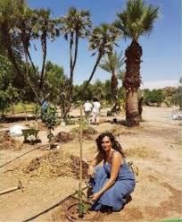 שתילת יער מאכל באילת