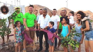 שתילה מוצלחת