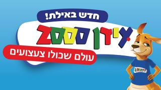 עידן 2000 - עולם שכולו צעועים