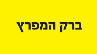 תאורה וחשמל זה 'ברק המפרץ'